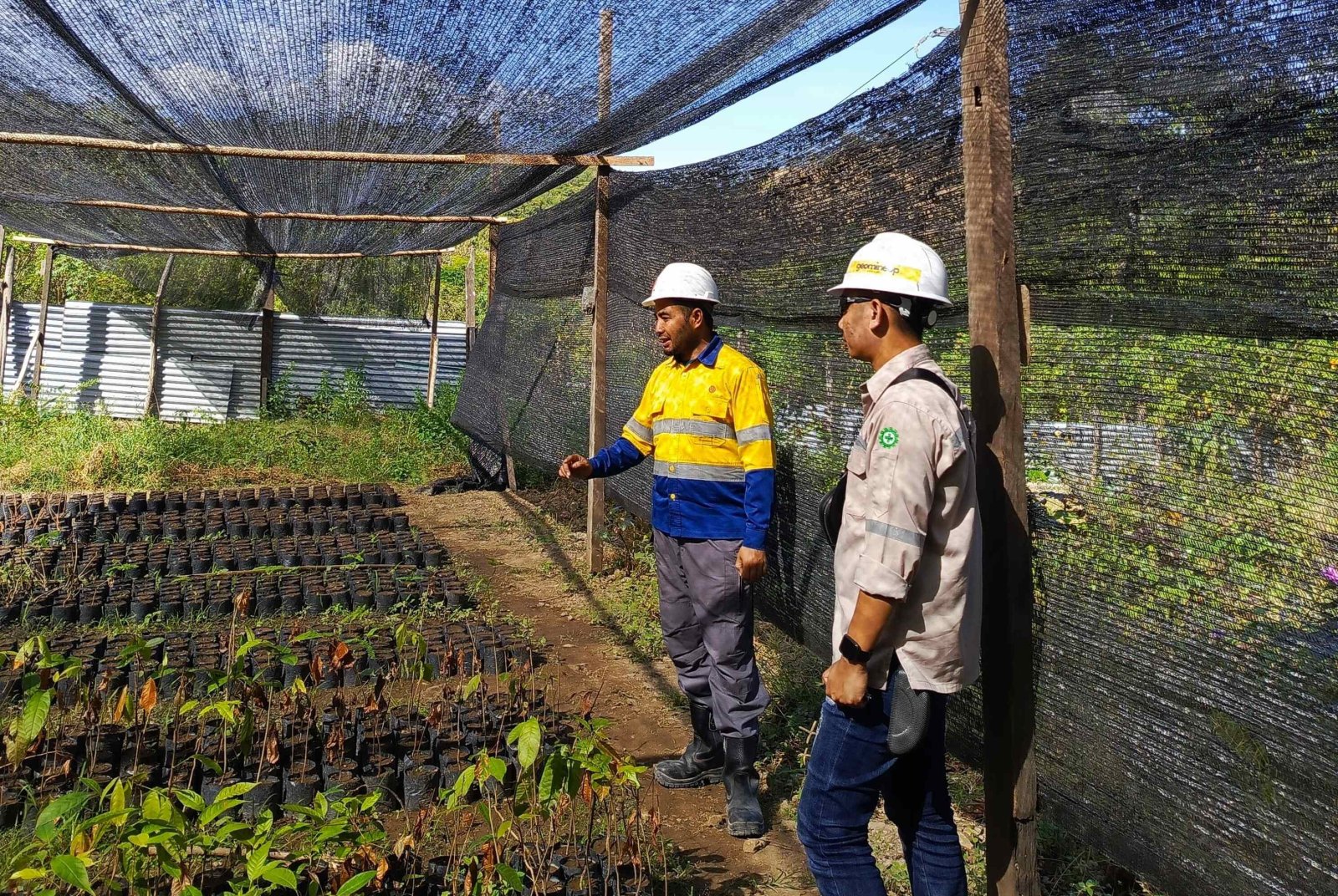 Persiapan Reklamasi: Komitmen Lingkungan Sejak Tahap Eksplorasi